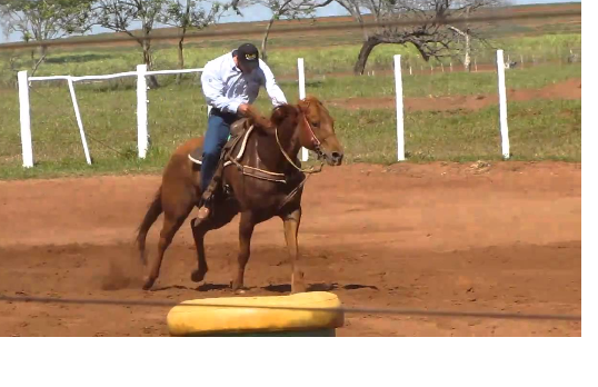 DOC MANEIRA